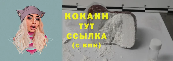 дживик Осташков