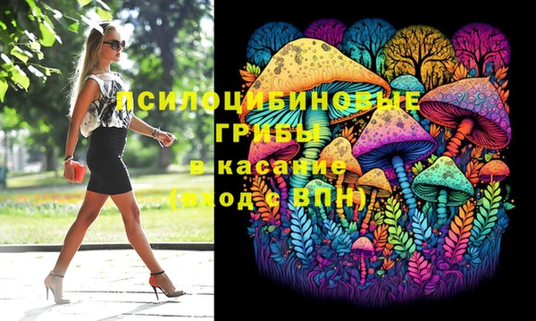 дживик Осташков