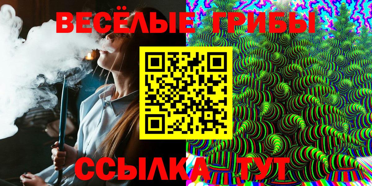 Галлюциногенные грибы MAGIC MUSHROOMS  купить наркотик  Волжский  Псилоцибиновые грибы ЛСД 