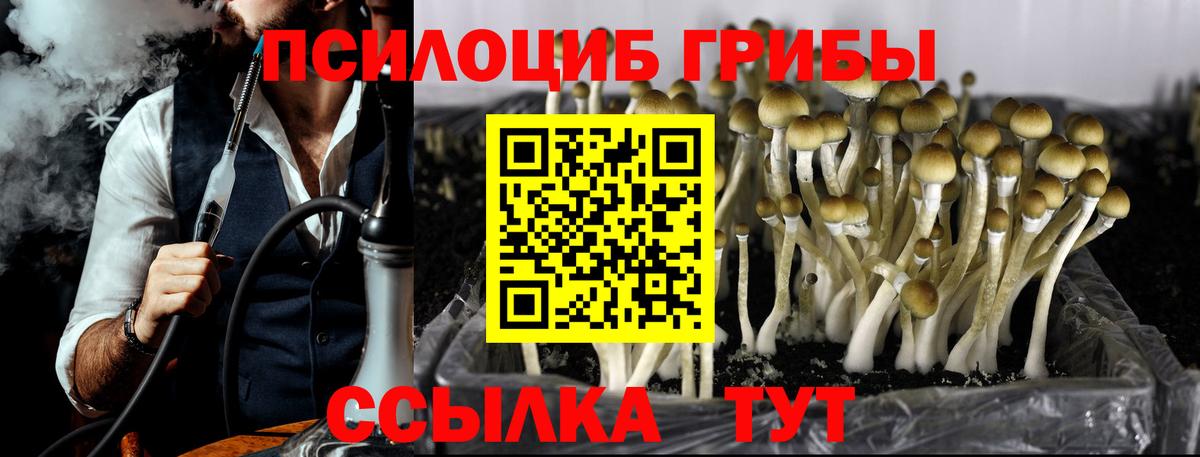 Волжский  Псилоцибиновые грибы ЛСД  Вход с VPN  Псилоцибиновые грибы мицелий 